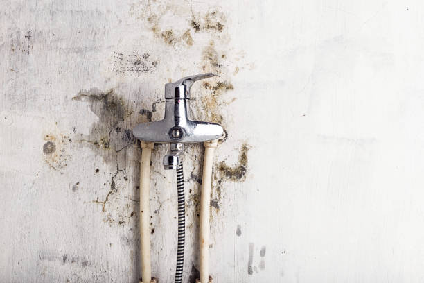 Best Local Mold Removal Service  in Mountain House, CA