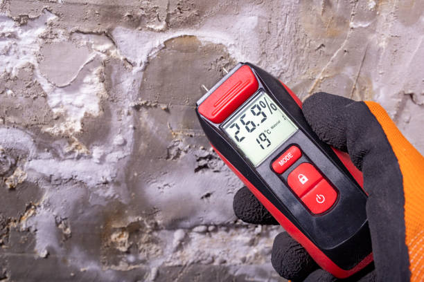 Mountain House, CA Mold Removal Company