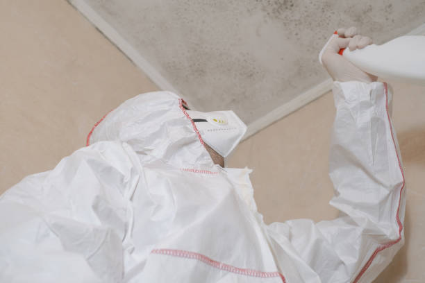 Best Mold Removal Near Me  in Mountain House, CA